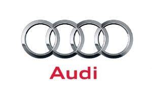 Комплект доводчиков Audi на 4 двери (AA-RL-AUD-AL)
